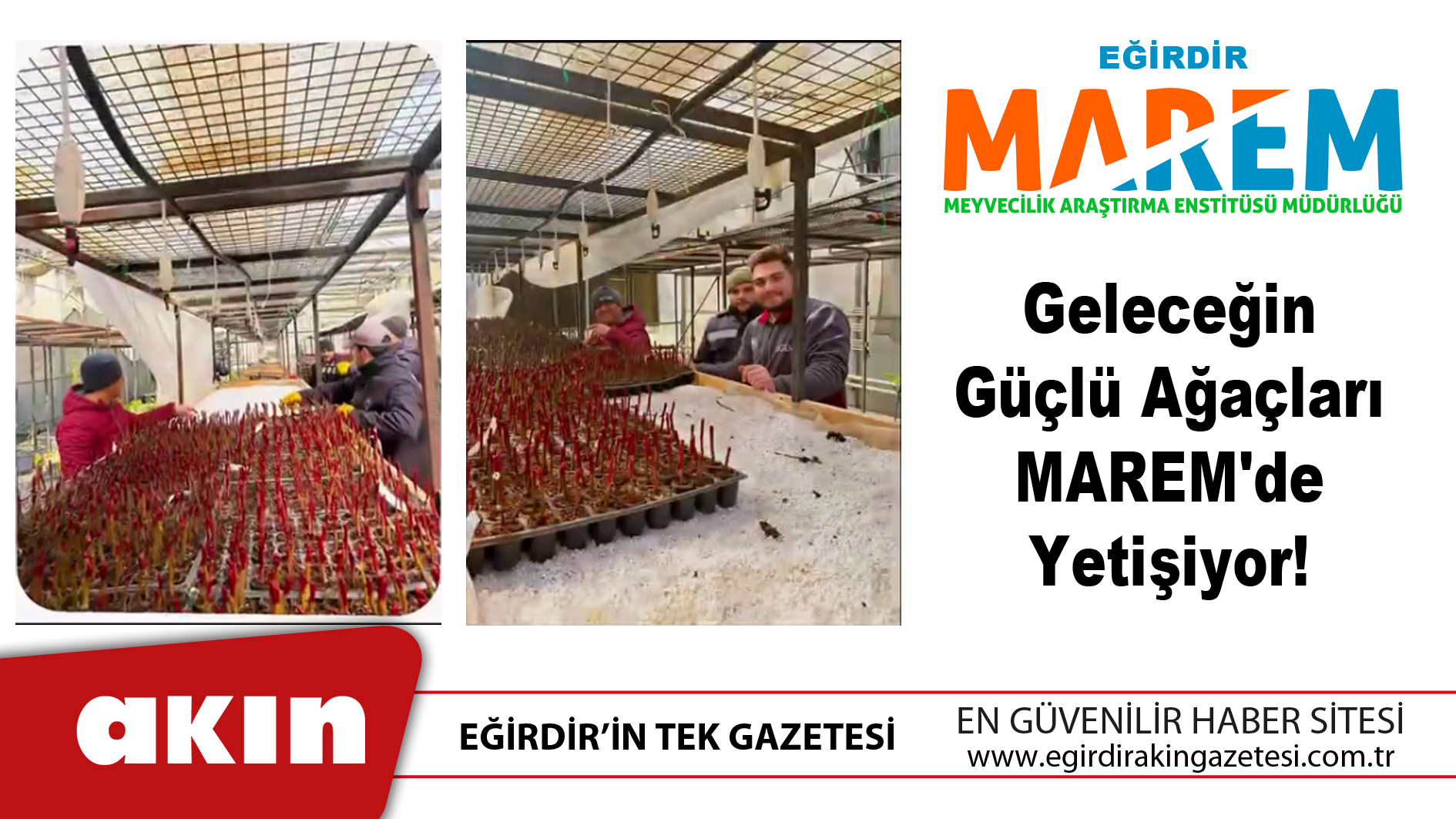 eğirdir haber,akın gazetesi,egirdir haberler,son dakika,Geleceğin Güçlü Ağaçları MAREM'de Yetişiyor!