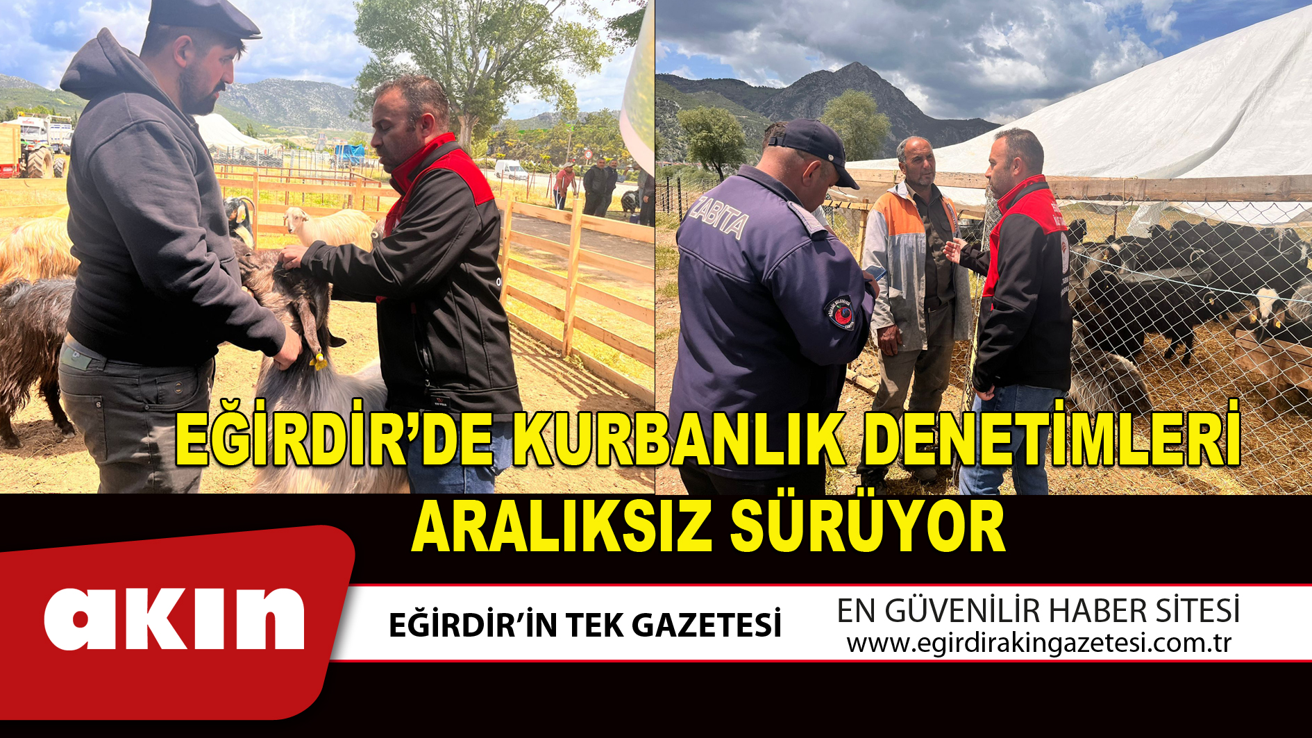 eğirdir haber,akın gazetesi,egirdir haberler,son dakika,EĞİRDİR’DE KURBANLIK DENETİMLERİ ARALIKSIZ SÜRÜYOR