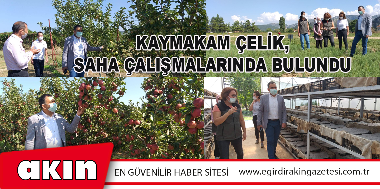 Kaymakam Çelik, Saha Çalışmalarında Bulundu