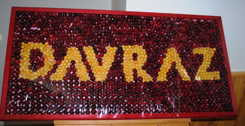 TÜRKİYE'NİN YENİ KİRAZI DAVRAZ..