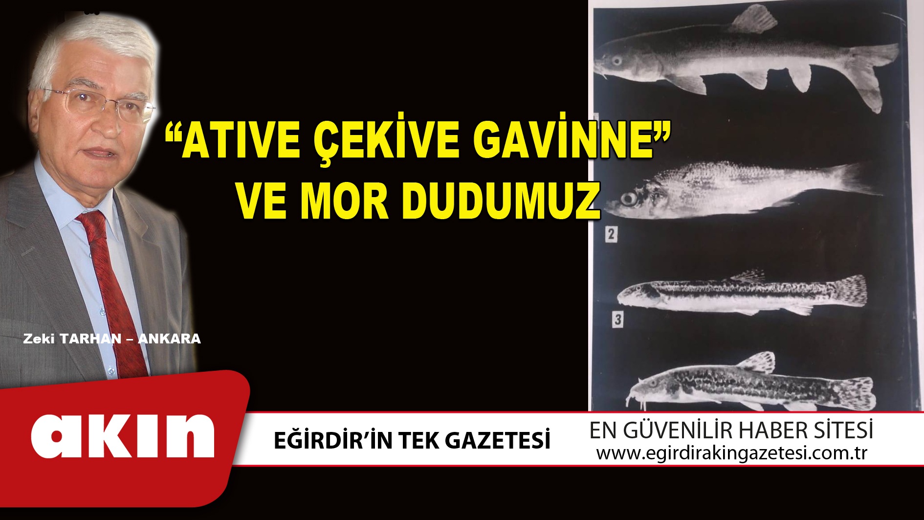 “ATIVE ÇEKİVE GAVİNNE” VE MOR DUDUMUZ