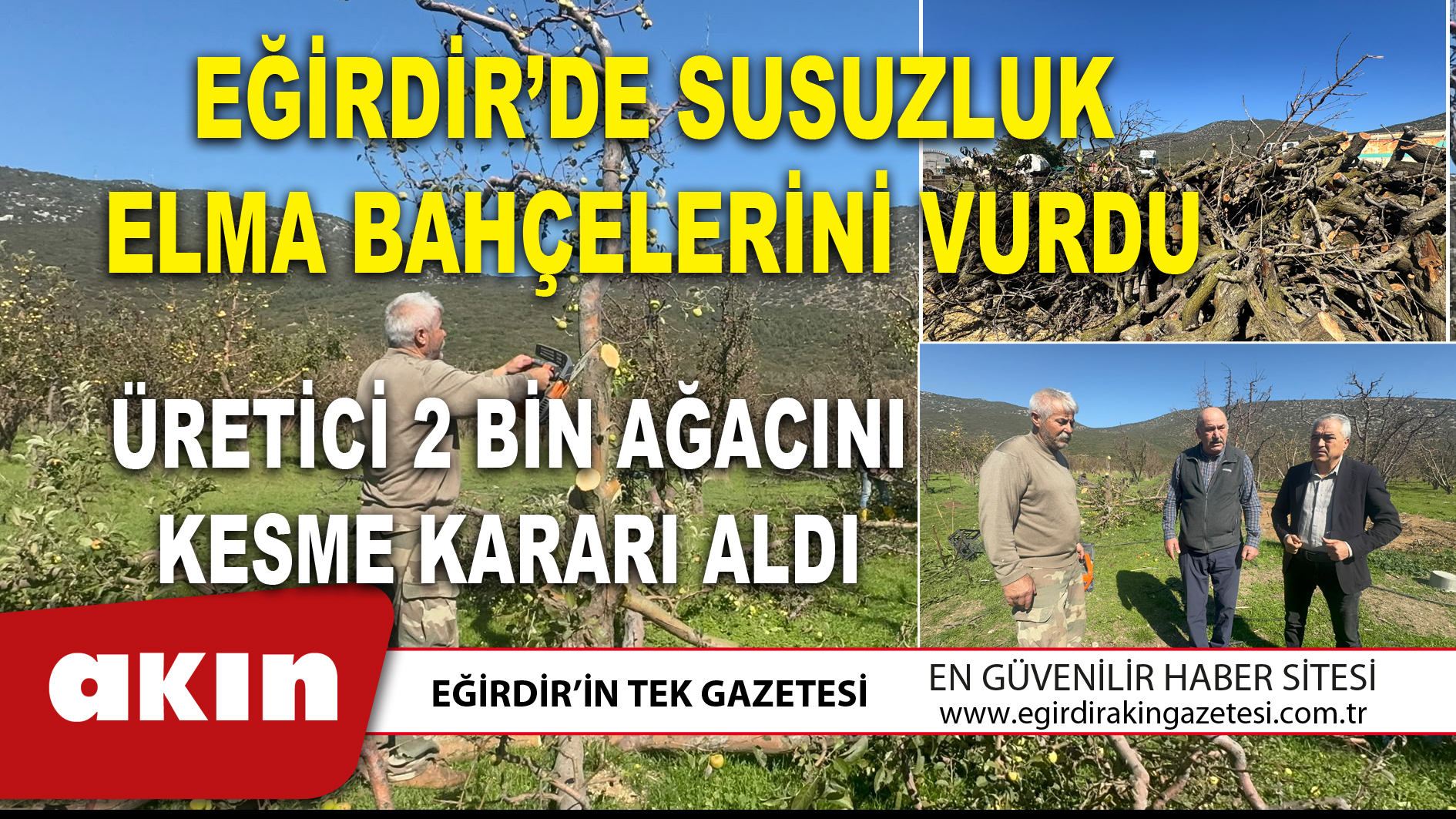 EĞİRDİR’DE SUSUZLUK ELMA BAHÇELERİNİ VURDU