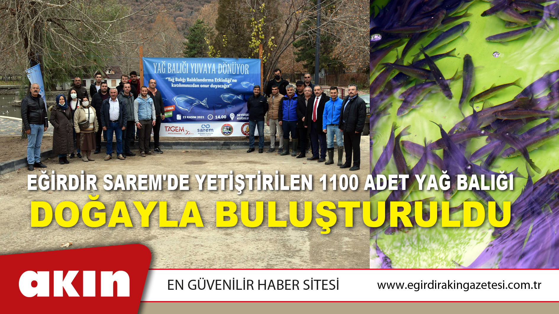 Eğirdir SAREM'de Yetiştirilen 1100 Adet Yağ Balığı Doğayla Buluşturuldu