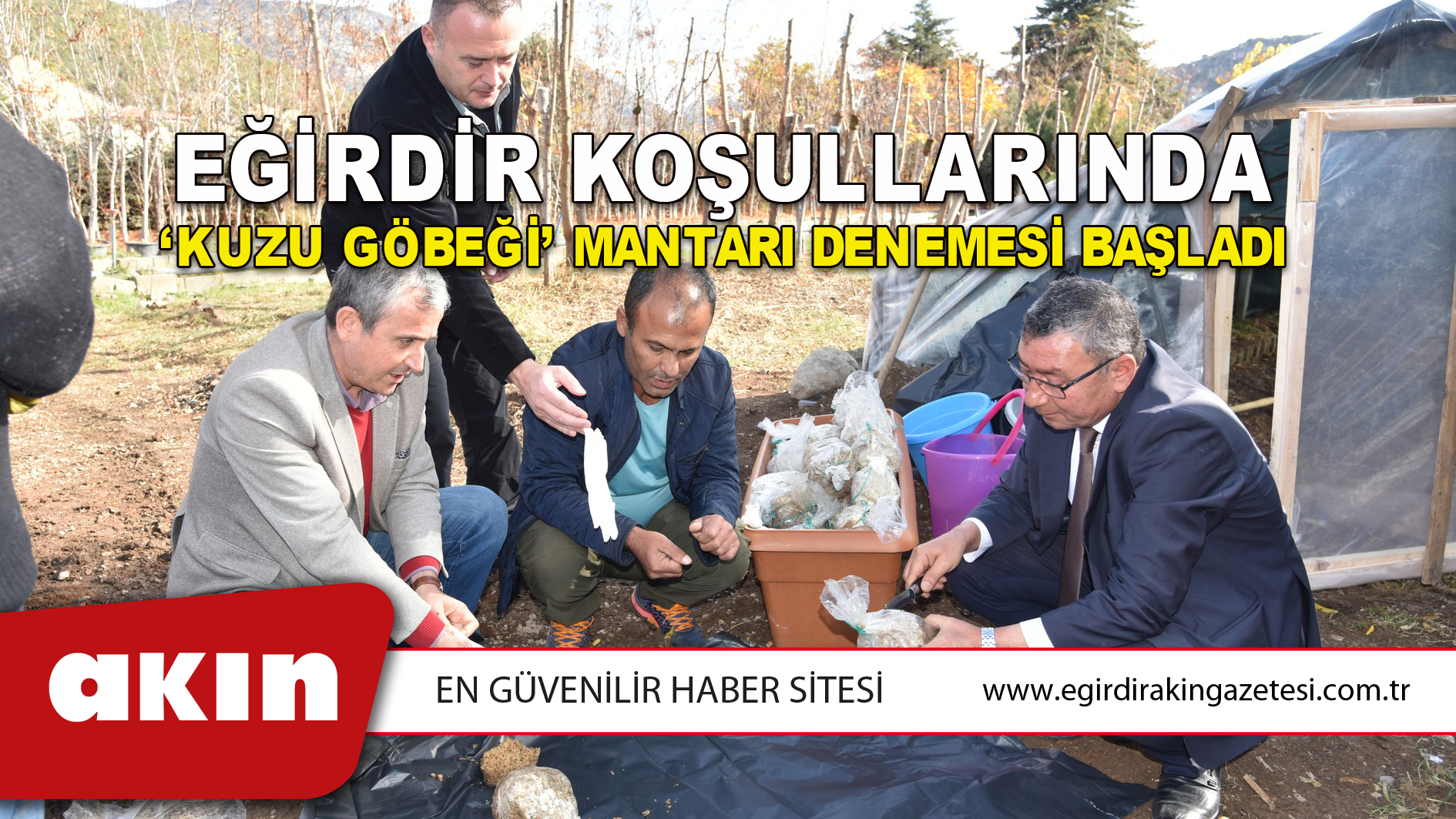Eğirdir Koşullarında ‘Kuzu Göbeği’ Mantarı Denemesi Başladı