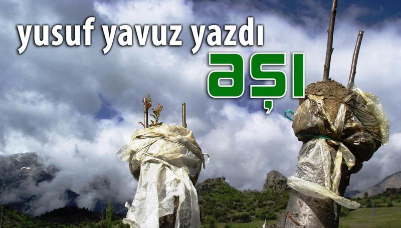 Yusuf Yavuz Yazdı: AŞI