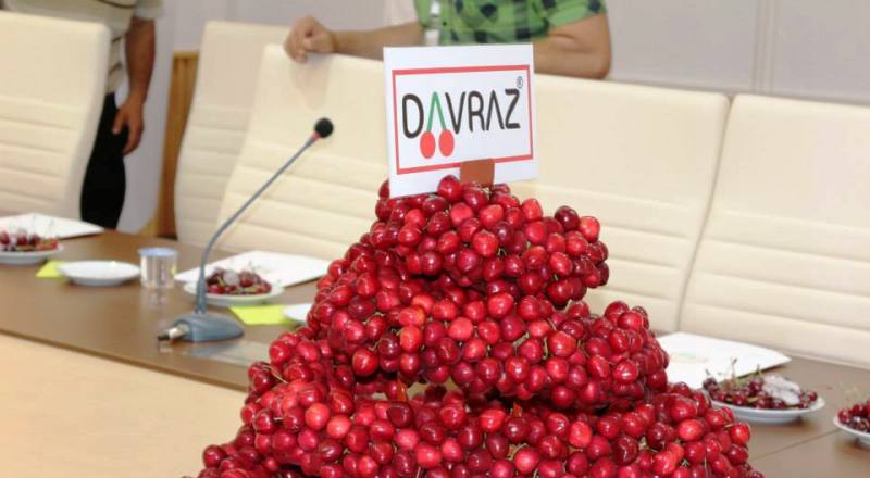 Davraz Kirazı Tanıtım Çalışmaları Sürüyor