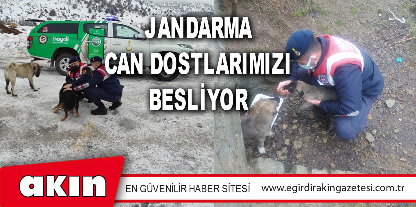 JANDARMA CAN DOSTLARIMIZI BESLİYOR