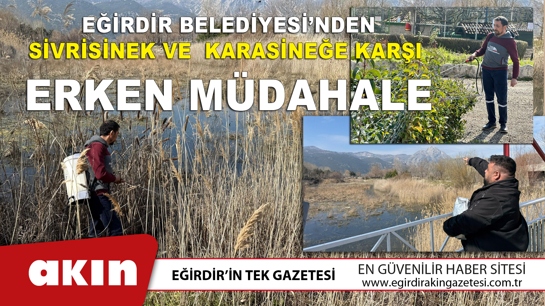Eğirdir Belediyesi’nden Sivrisinek Ve Karasineğe Karşı Erken Müdahale