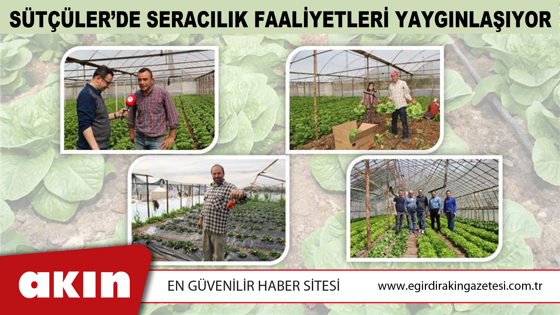 Sütçüler’de Seracılık Faaliyetleri Yaygınlaşıyor
