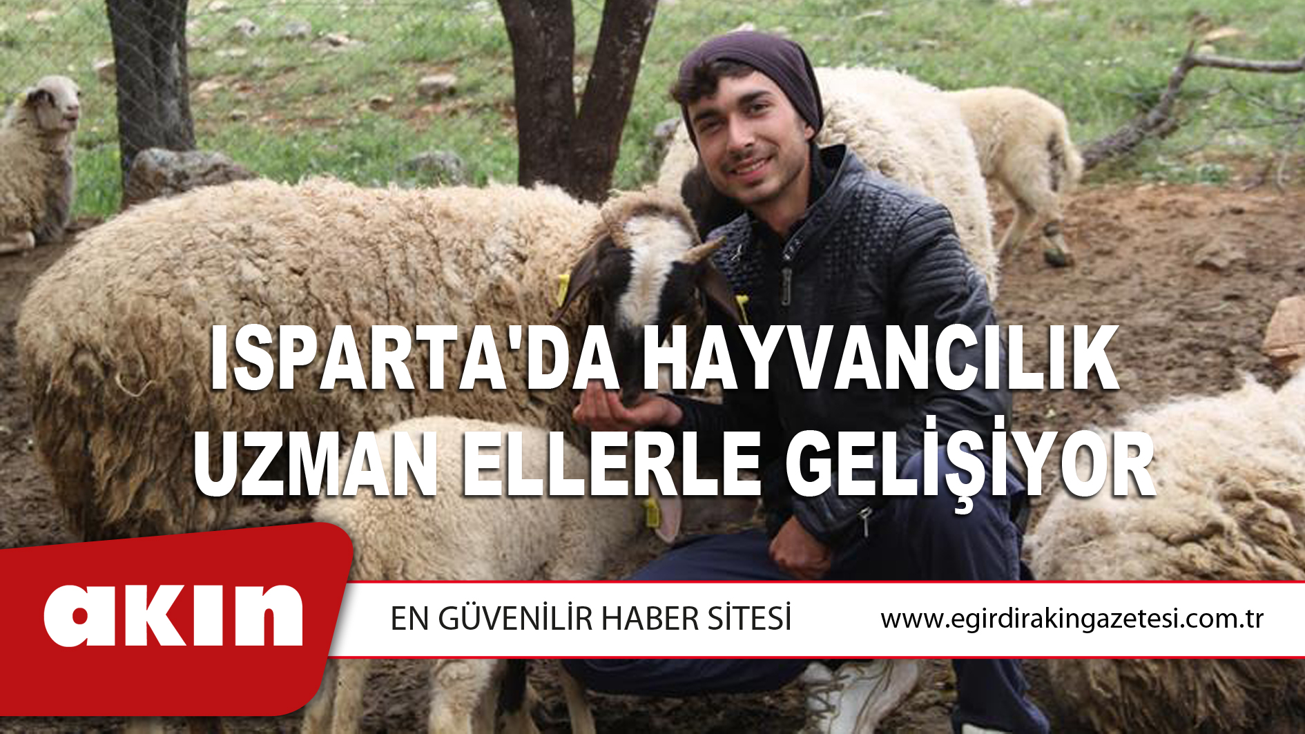 Isparta'da Hayvancılık Uzman Ellerle Gelişiyor