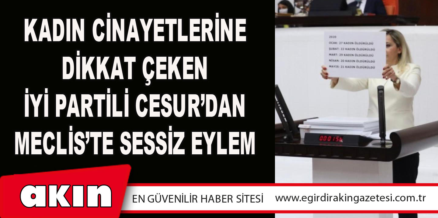 eğirdir haber,akın gazetesi,egirdir haberler,son dakika,Kadın Cinayetlerine Dikkat Çeken İYİ Partili Cesur’dan Meclis’te Sessiz Eylem