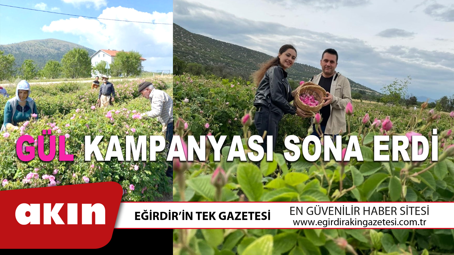 GÜL KAMPANYASI SONA ERDİ