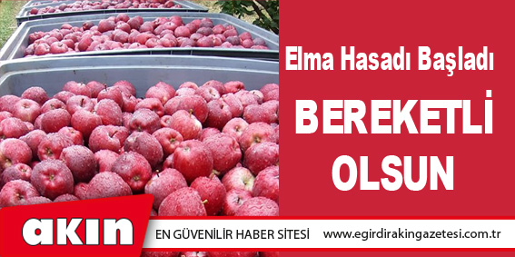 Elma Hasadı Başladı