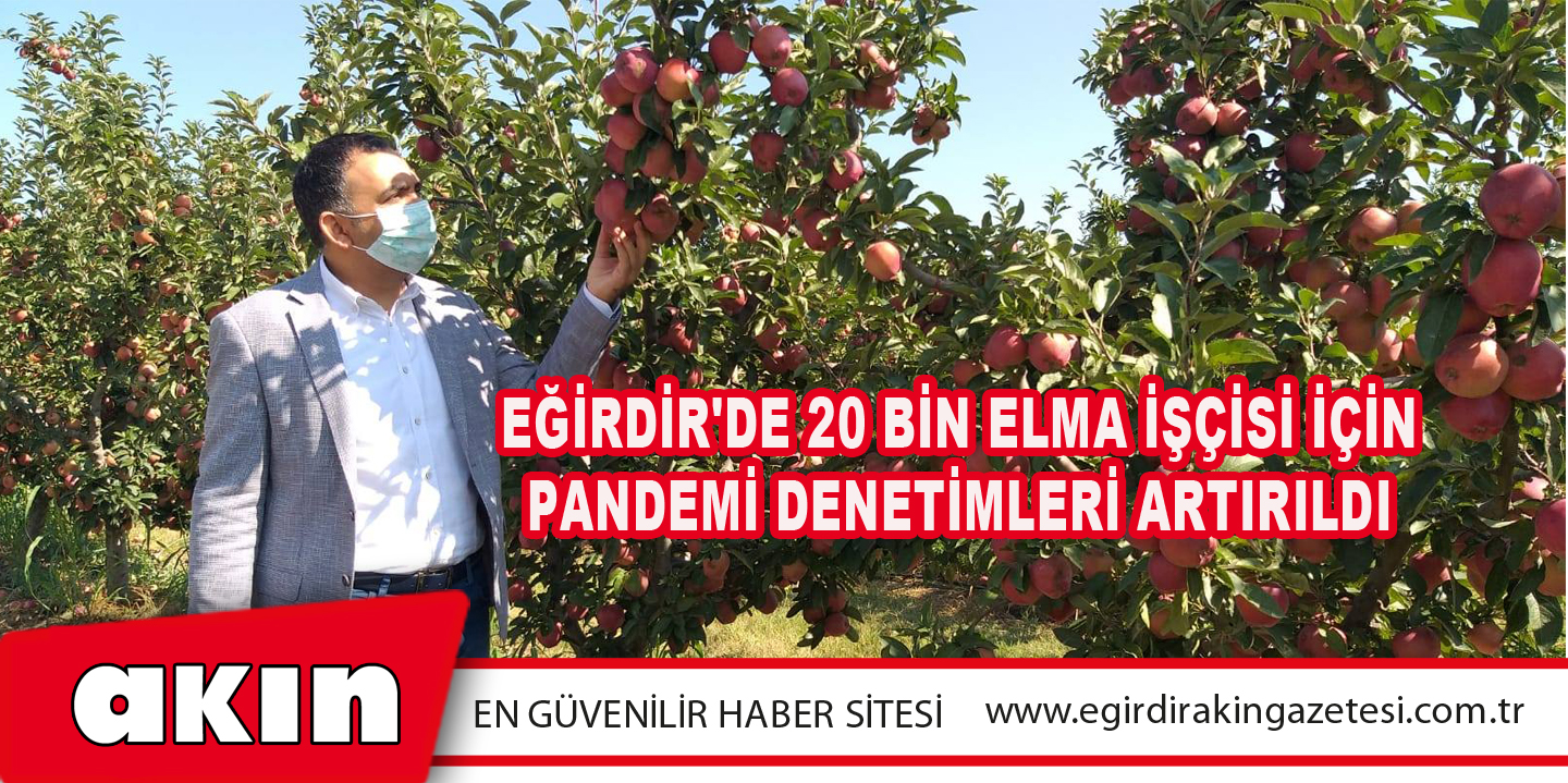 eğirdir haber,akın gazetesi,egirdir haberler,son dakika,Eğirdir'de 20 bin elma işçisi için pandemi denetimleri artırıldı