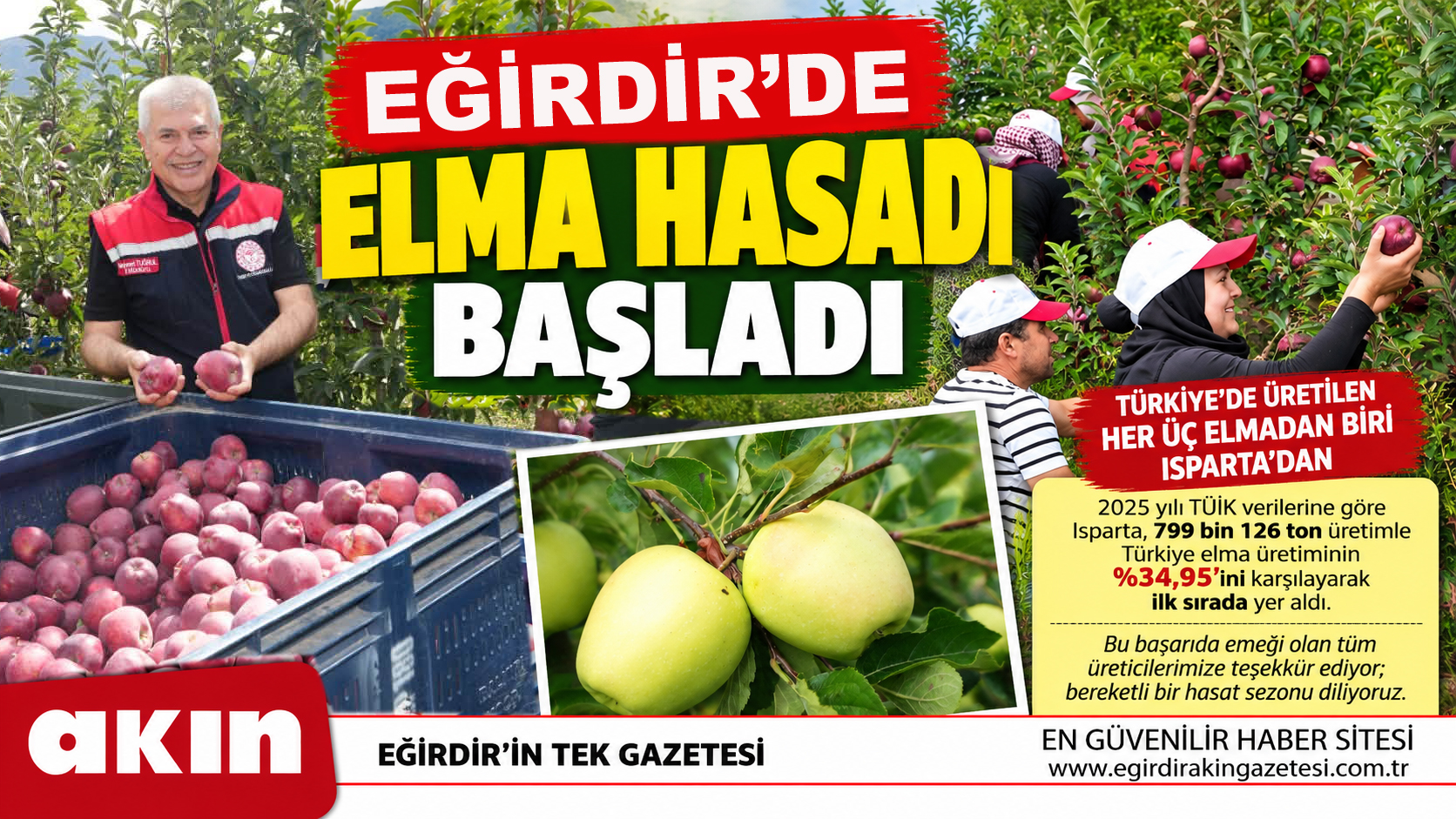 eğirdir haber,akın gazetesi,egirdir haberler,son dakika,Eğirdir'de Elma Hasadı Başladı