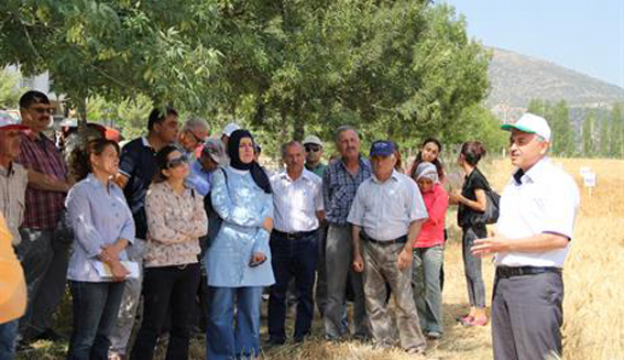 Yeni Hububat Çeşitleri Tanıtıldı