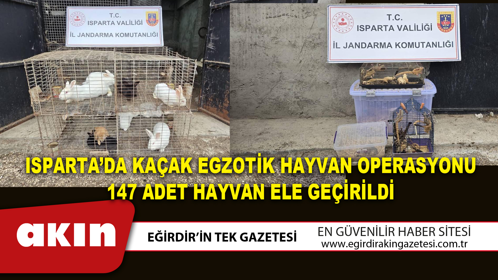 ISPARTA’DA KAÇAK EGZOTİK HAYVAN OPERASYONU