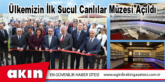 Ülkemizin İlk Sucul Canlılar Müzesi Açıldı