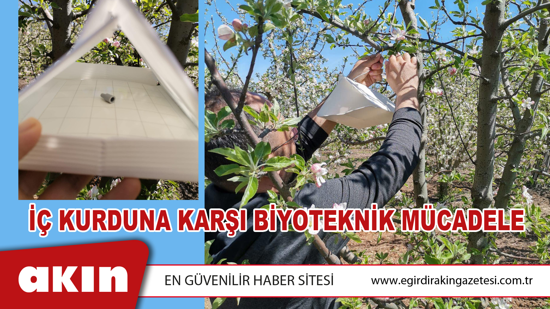 İç Kurduna Karşı Biyoteknik Mücadele