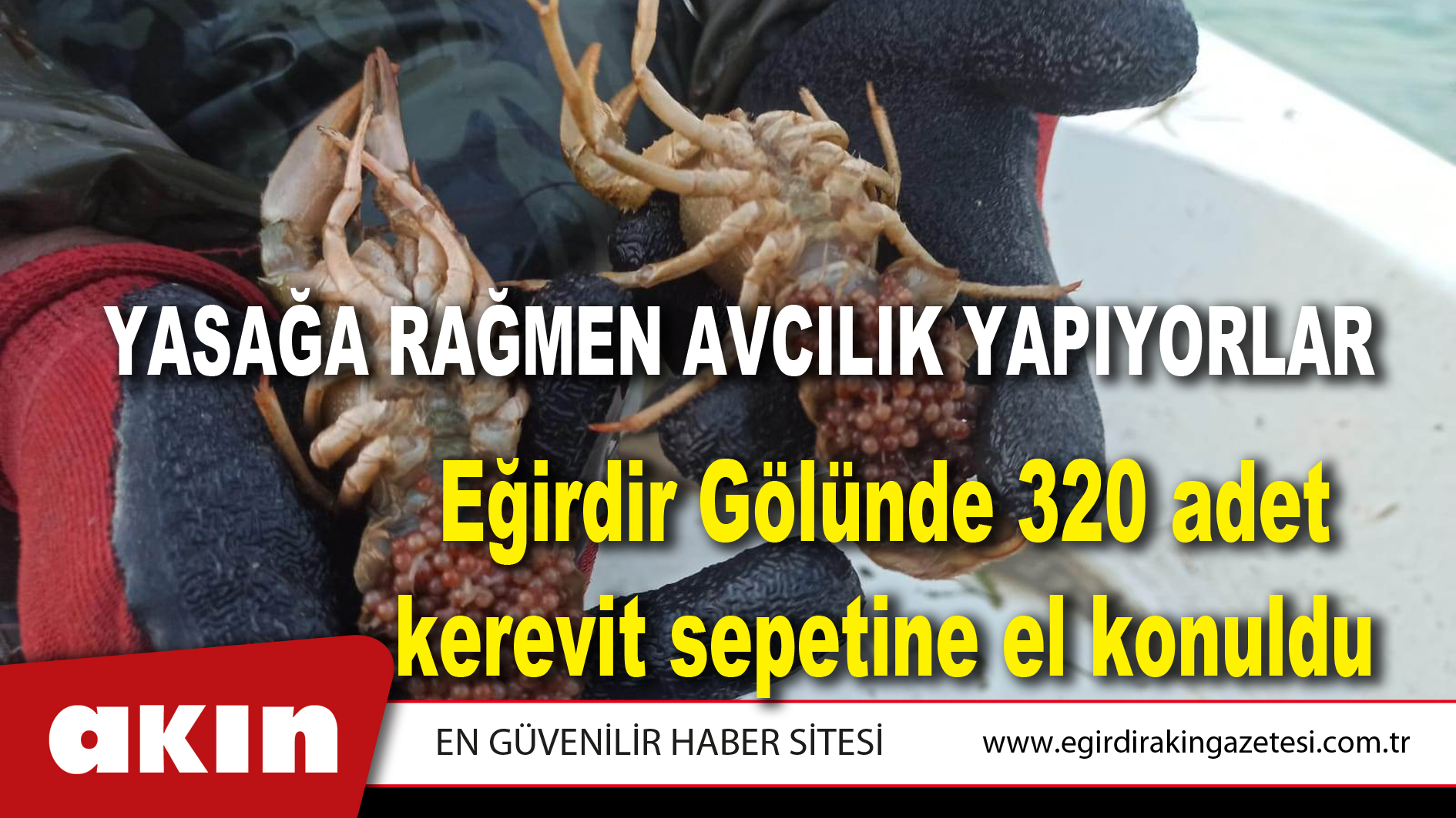 YASAĞA RAĞMEN AVCILIK YAPIYORLAR