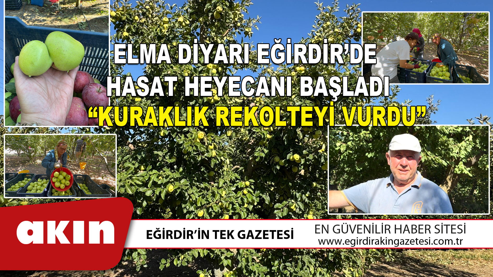 ELMA DİYARI EĞİRDİR’DE HASAT HEYECANI BAŞLADI