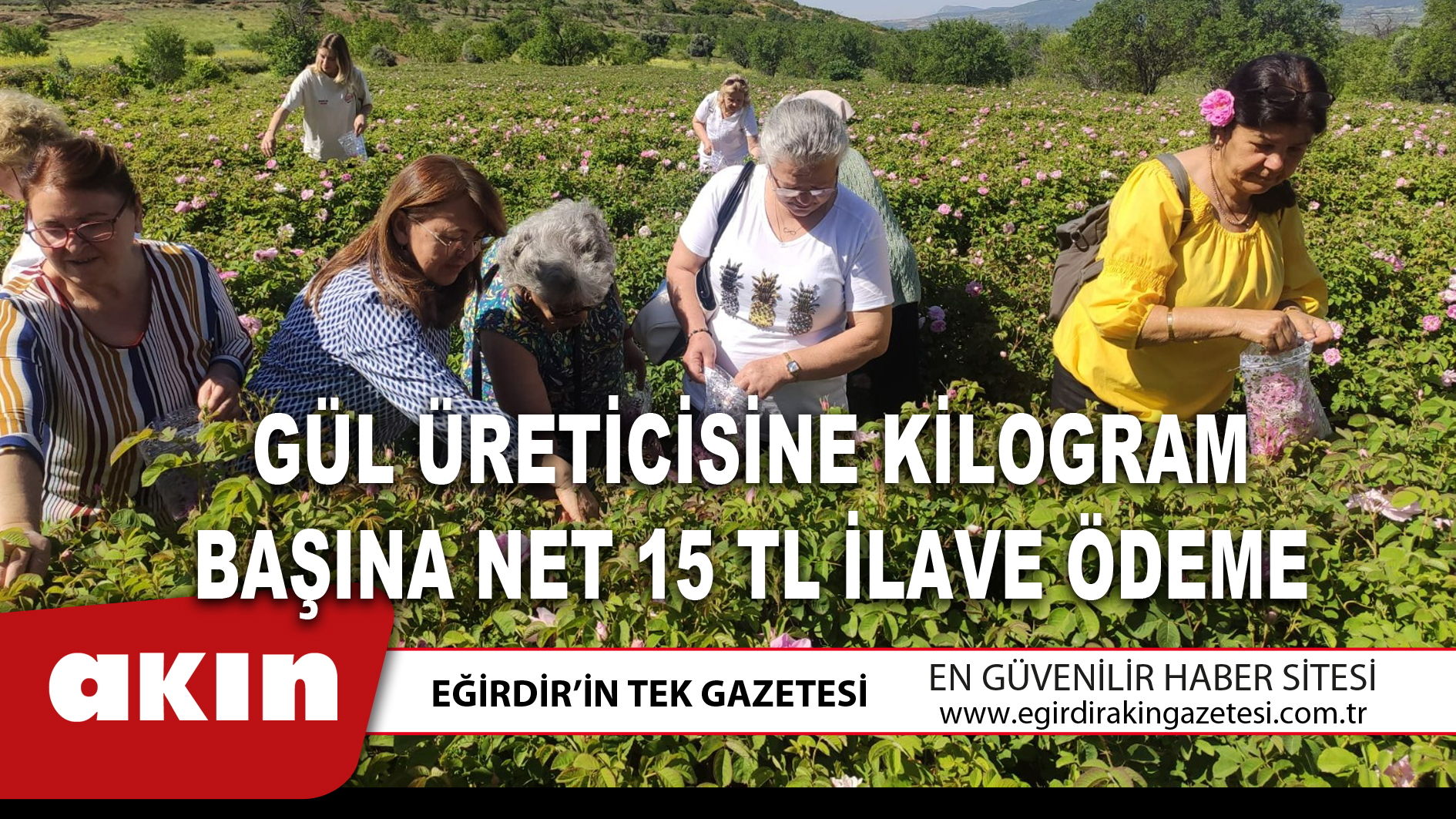  GÜL ÜRETİCİSİNE KİLOGRAM BAŞINA NET 15 TL İLAVE ÖDEME