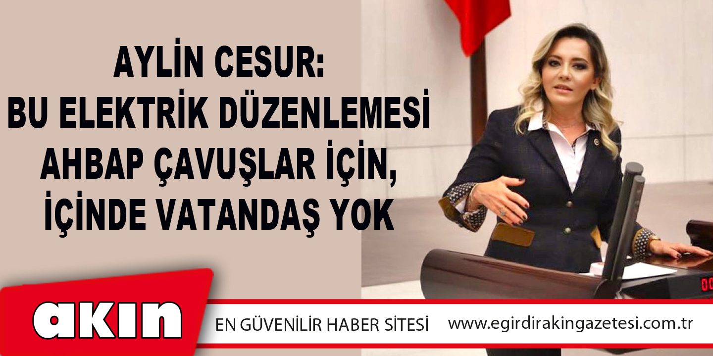 Aylin Cesur: Bu Elektrik Düzenlemesi Ahbap Çavuşlar İçin, İçinde Vatandaş Yok