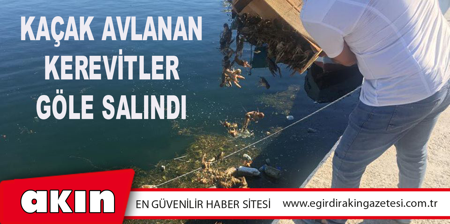 Kaçak Avlanan Kerevitler Göle Salındı
