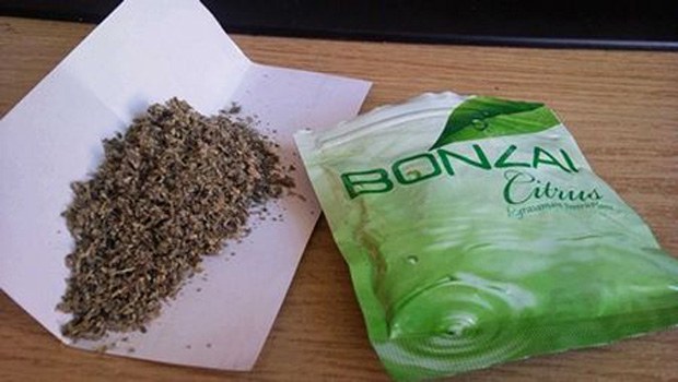 Bitkisel Tehlikenin Adı: Bonzai...