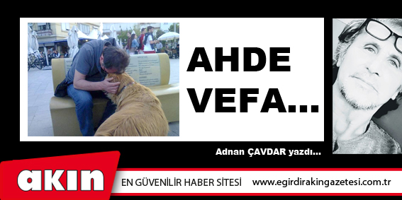 AHDE VEFA...