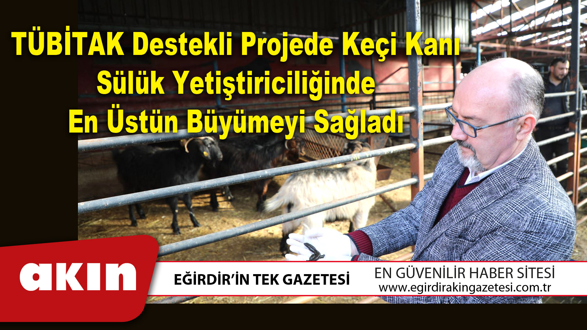 eğirdir haber,akın gazetesi,egirdir haberler,son dakika,TÜBİTAK Destekli Projede Keçi Kanı Sülük Yetiştiriciliğinde En Üstün Büyümeyi Sağladı