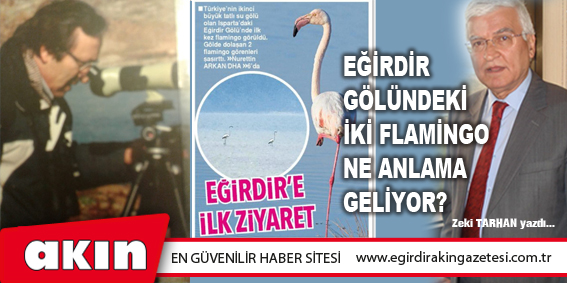 Eğirdir Gölü'ndeki İki Flamingo  Ne Anlama Geliyor? 