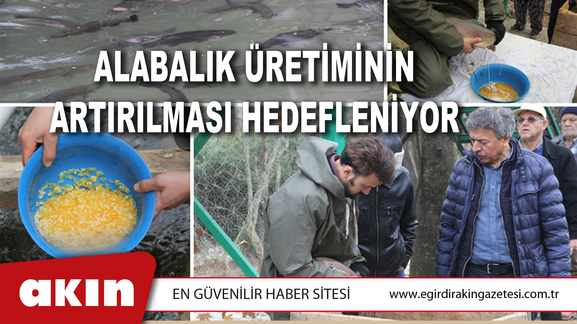 Alabalık Üretiminin Artırılması Hedefleniyor