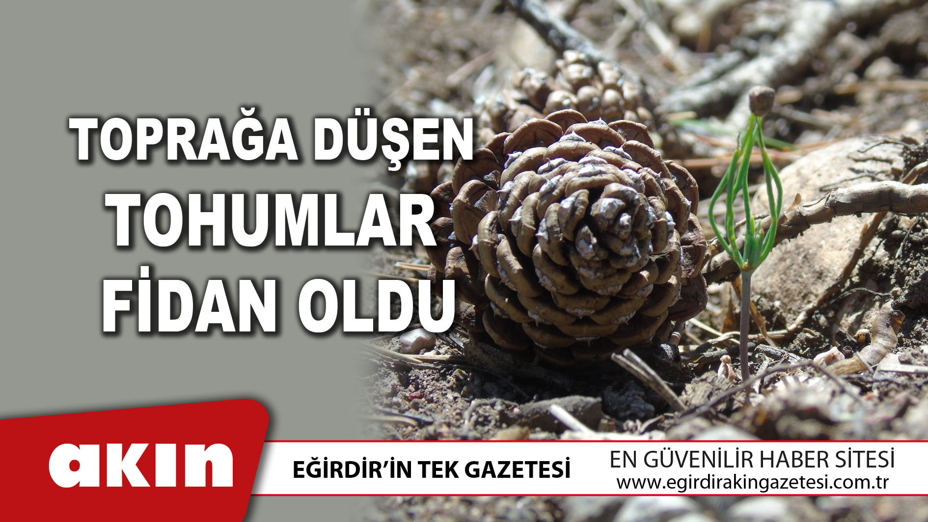Toprağa Düşen Tohumlar Fidan Oldu