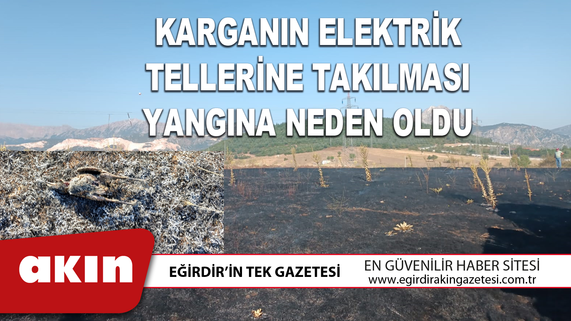 KARGANIN ELEKTRİK TELLERİNE TAKILMASI YANGINA NEDEN OLDU
