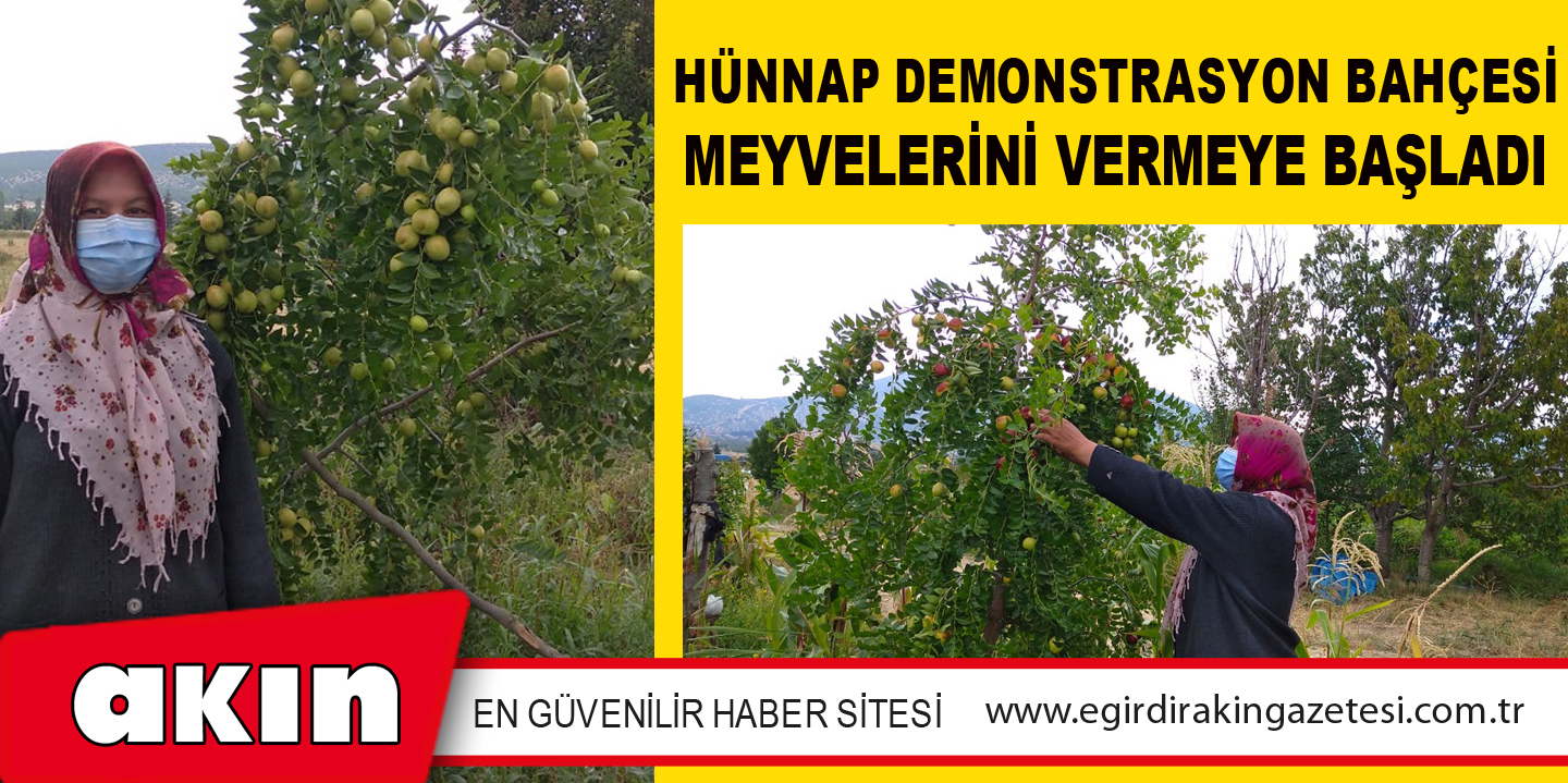 Hünnap Demonstrasyon Bahçesi Meyvelerini Vermeye Başladı