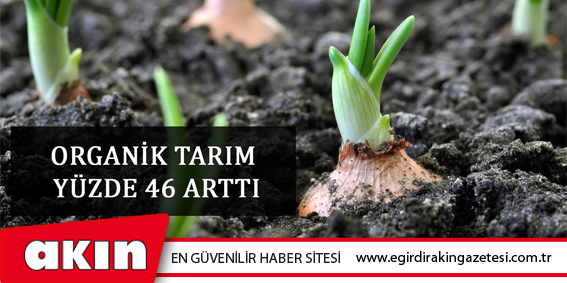 ORGANİK TARIM YÜZDE 46 ARTTI