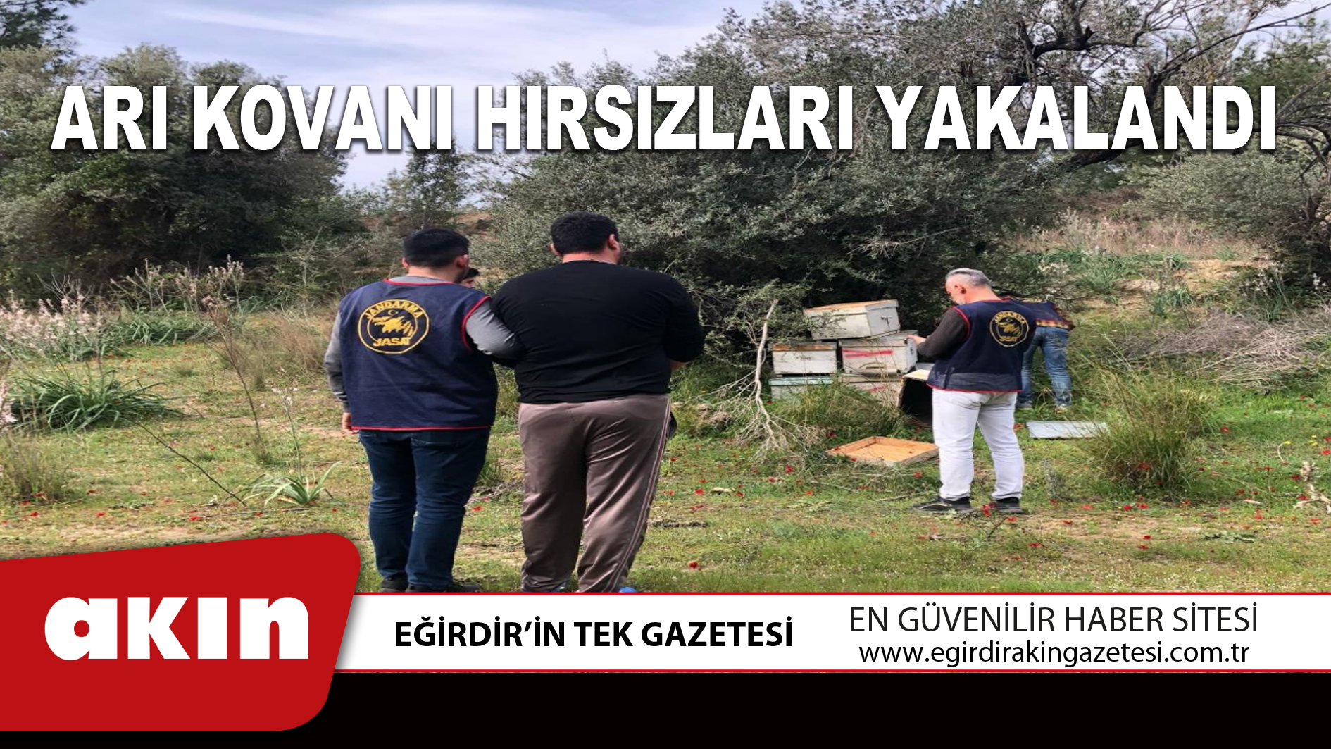 ARI KOVANI HIRSIZLARI YAKALANDI