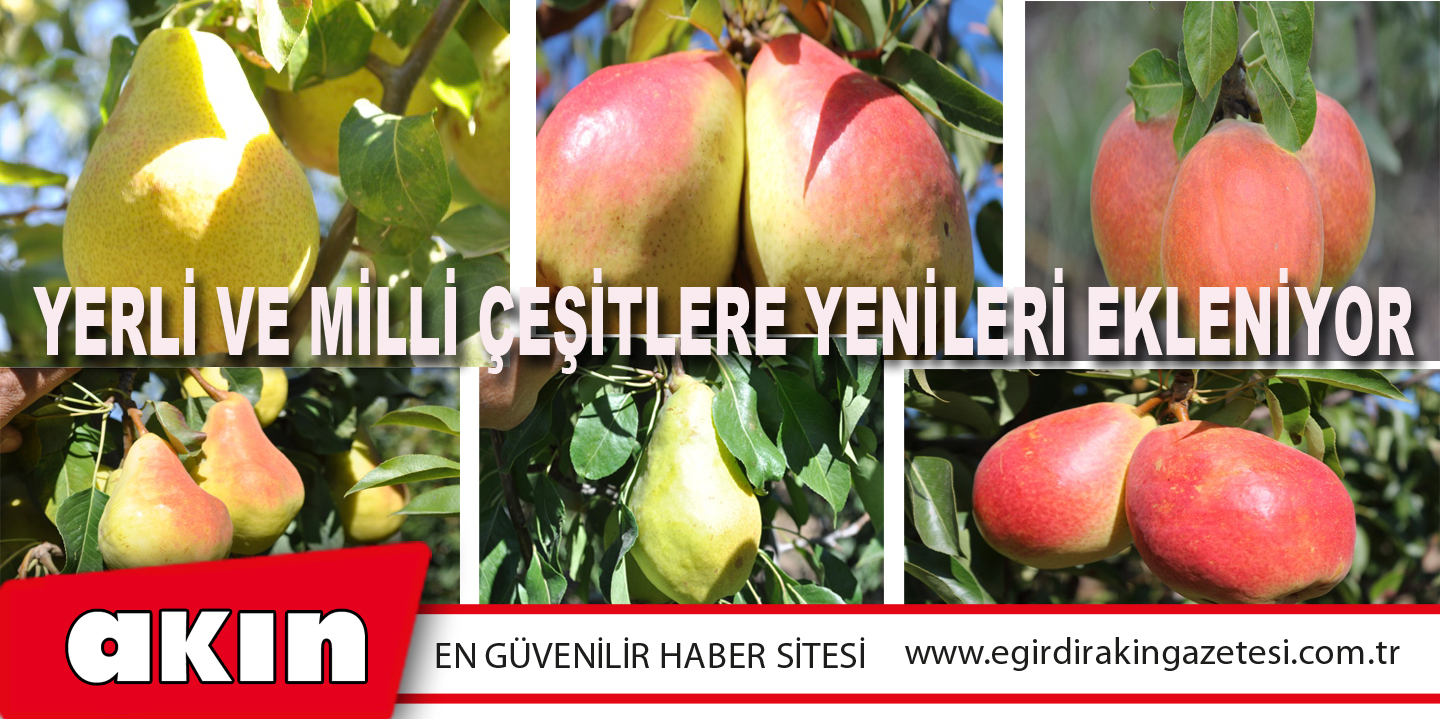 Yerli Ve Milli Çeşitlere Yenileri Ekleniyor