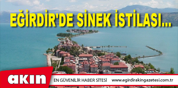 Eğirdir'de Sinek İstilası...