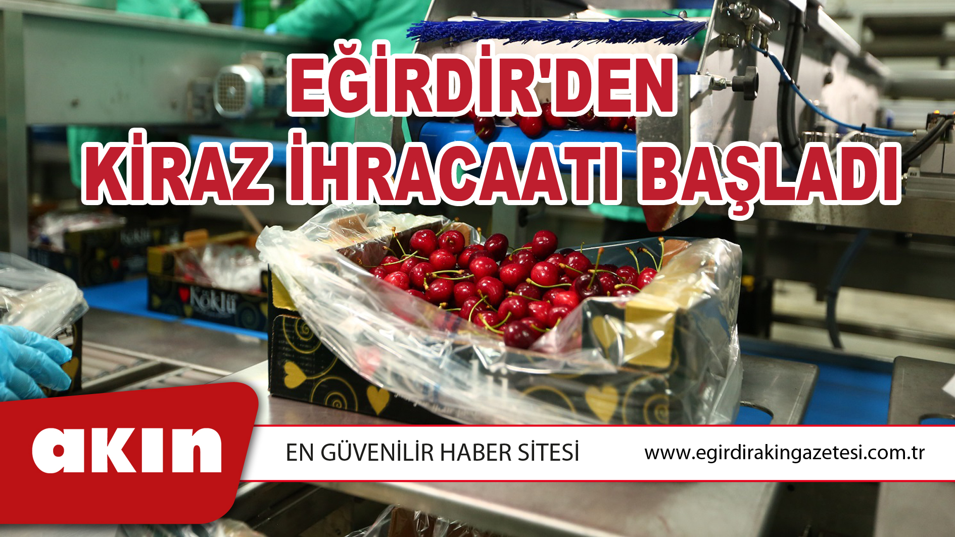 Eğirdir'den Kiraz İhracaatı Başladı