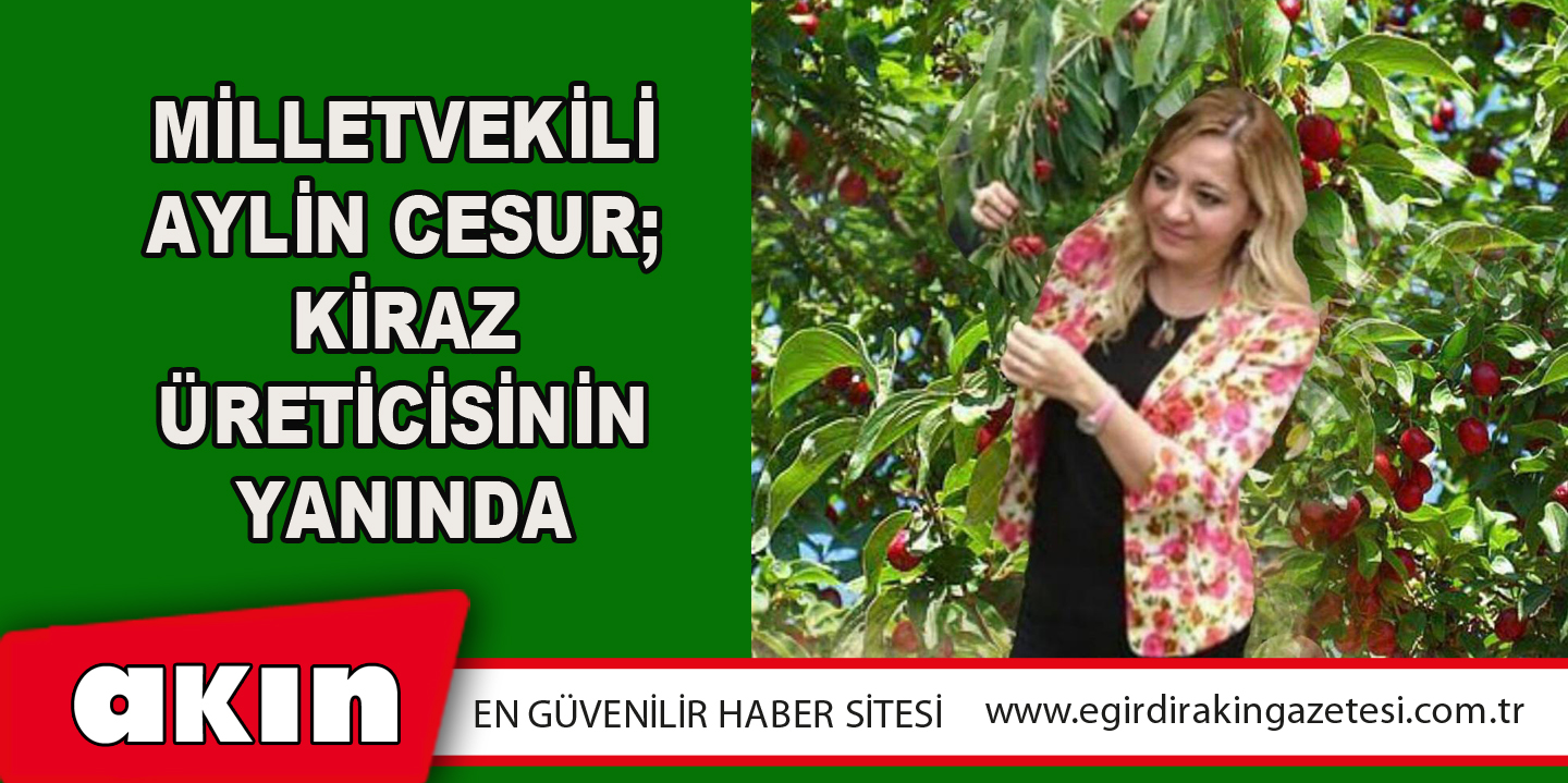 eğirdir haber,akın gazetesi,egirdir haberler,son dakika,Milletvekili Aylin Cesur; Kiraz Üreticisinin Yanında