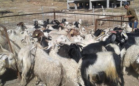 Eğirdir Kurban Hizmetleri Komisyonu Toplandı