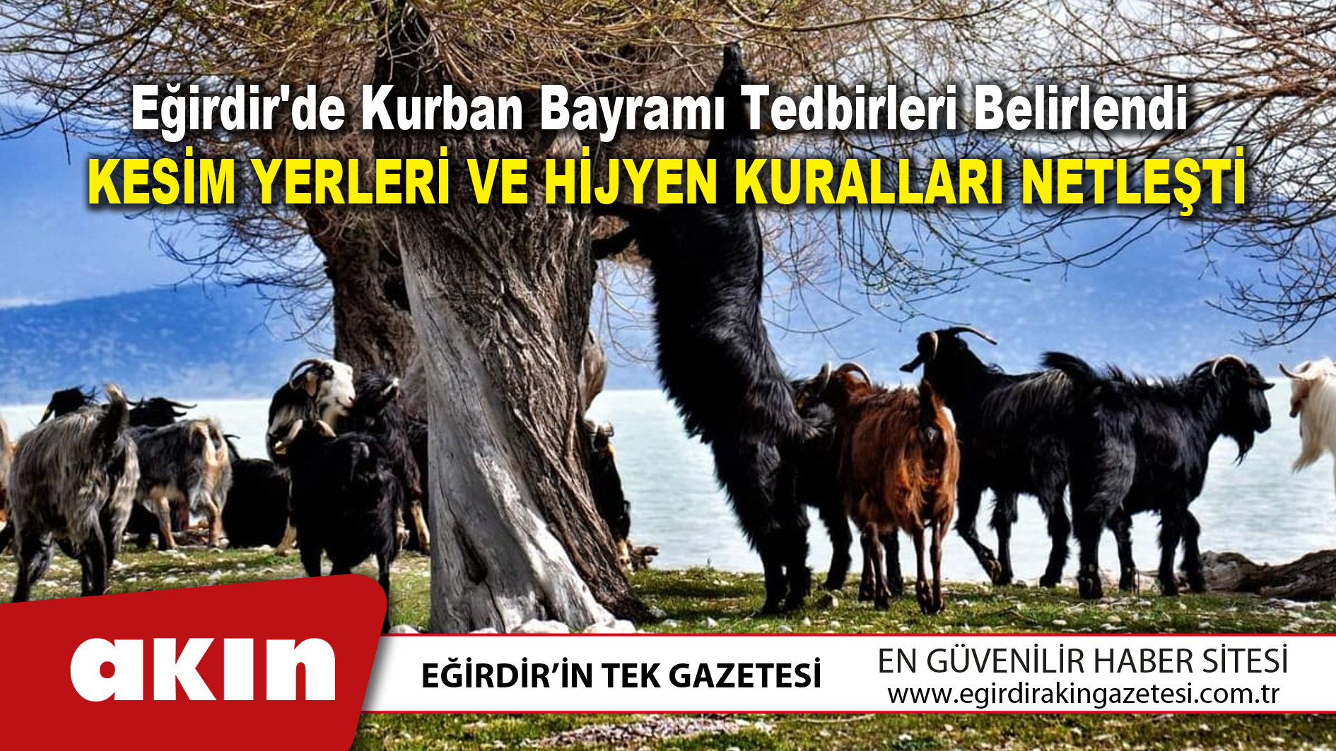 Eğirdir'de Kurban Bayramı Tedbirleri Belirlendi	