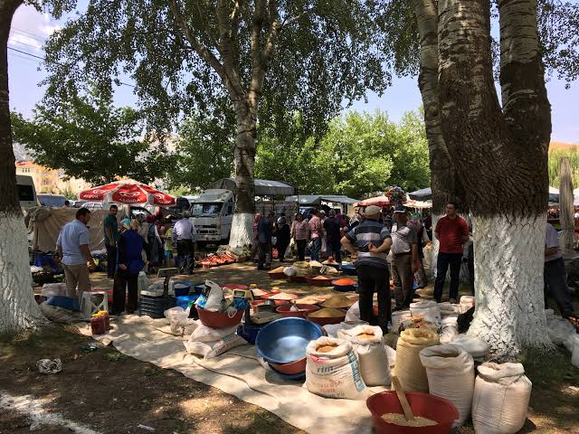 PINAR PAZARI 21 TEMMUZDA AÇILACAK 