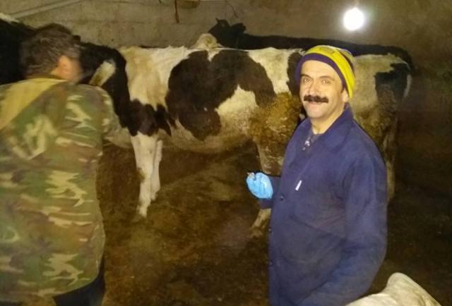 Şap hastalığına karşı önlem alındı