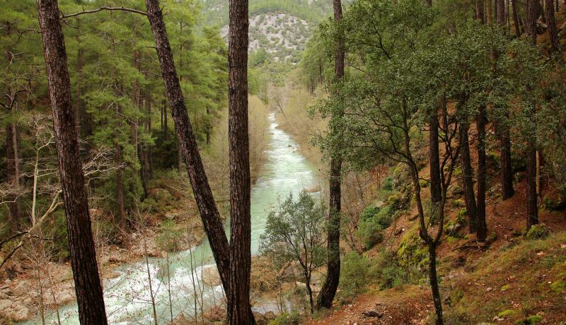 ETUDOSD'DAN HAFTASONU ETKİNLİĞİ