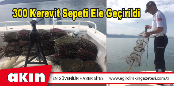 300 Kerevit Sepeti Ele Geçirildi