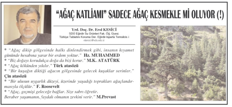 eğirdir haber,akın gazetesi,egirdir haberler,son dakika,"AĞAÇ KATLİAMI" SADECE AĞAÇ KESMEKLE Mİ OLUYOR (!)