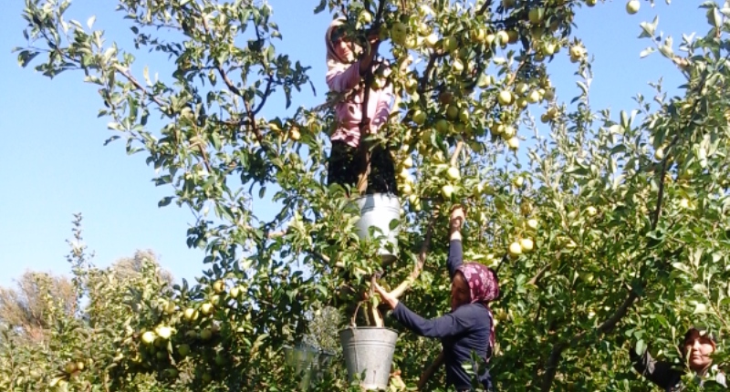 Isparta'da Kırsal ekonomi güç kaybetti